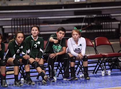 Thumbnail 2 in Tuba City @ Flagstaff (AIA State Playoff) photogallery.