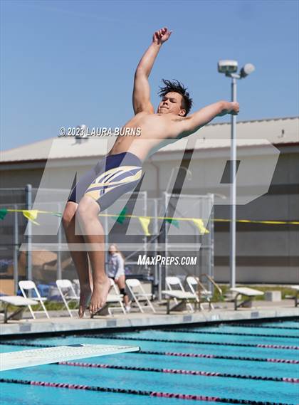 Thumbnail 2 in Leland @ Sobrato (Diving) photogallery.