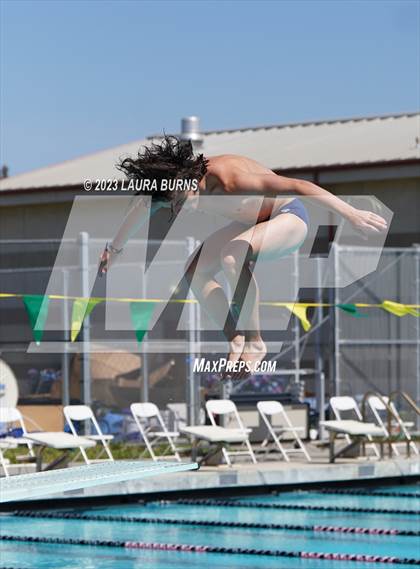 Thumbnail 2 in Leland @ Sobrato (Diving) photogallery.
