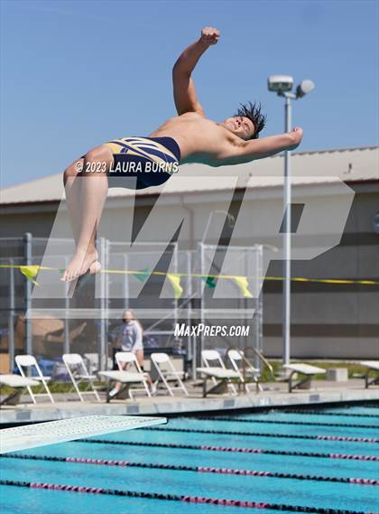 Thumbnail 3 in Leland @ Sobrato (Diving) photogallery.