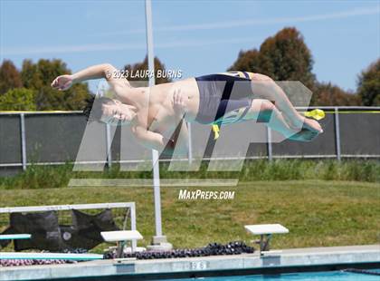 Thumbnail 2 in Leland @ Sobrato (Diving) photogallery.