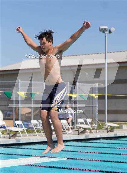 Thumbnail 1 in Leland @ Sobrato (Diving) photogallery.
