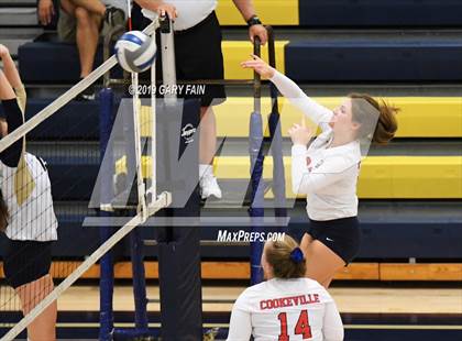 Thumbnail 2 in Cookeville @ Soddy Daisy photogallery.