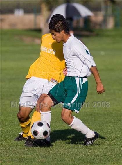 Thumbnail 1 in Turlock @ Pitman photogallery.