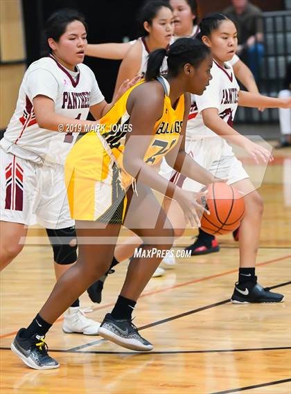 Thumbnail 1 in Coconino vs. Goldwater (Scorpion Shootout 2019) photogallery.