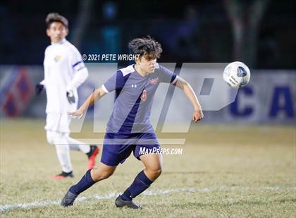 Thumbnail 1 in Bayshore @ Manatee photogallery.