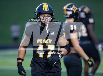 Thumbnail 3 in Perry @ Peach County photogallery.