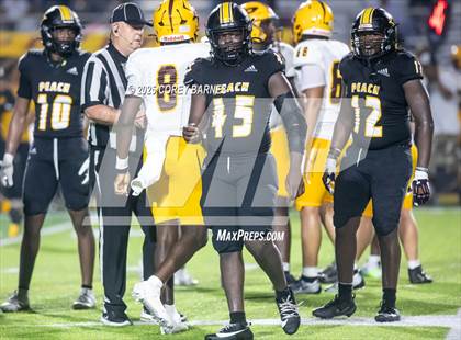 Thumbnail 3 in Perry @ Peach County photogallery.