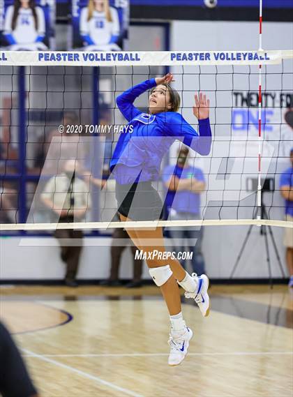 Thumbnail 1 in Brock @ Peaster photogallery.