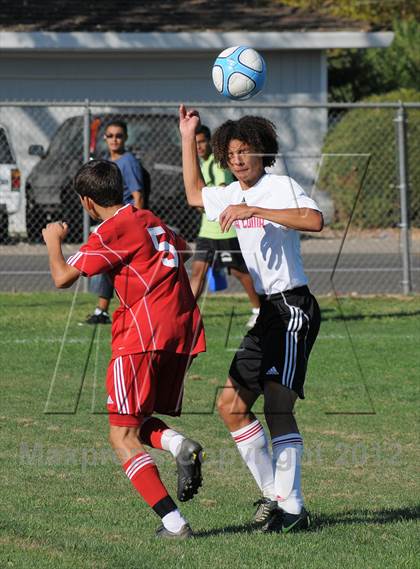 Thumbnail 2 in Antelope @ Mira Loma photogallery.