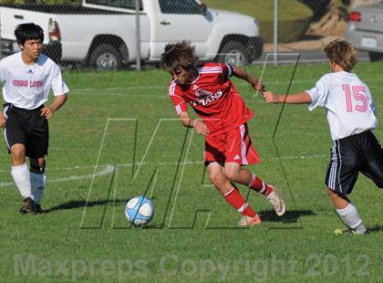 Thumbnail 1 in Antelope @ Mira Loma photogallery.