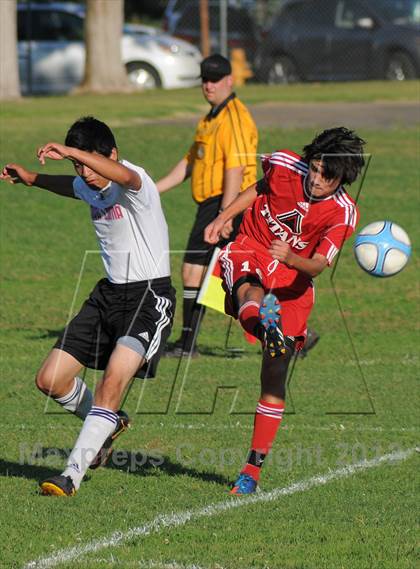 Thumbnail 2 in Antelope @ Mira Loma photogallery.