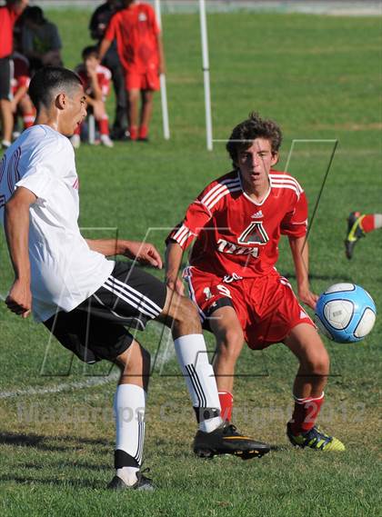Thumbnail 1 in Antelope @ Mira Loma photogallery.