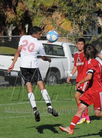 Thumbnail 3 in Antelope @ Mira Loma photogallery.