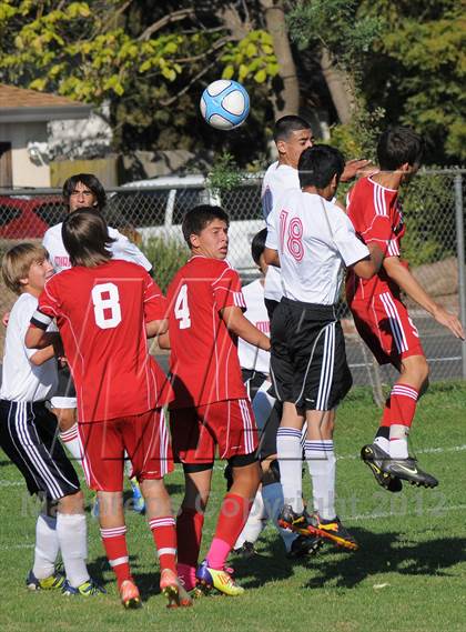 Thumbnail 1 in Antelope @ Mira Loma photogallery.