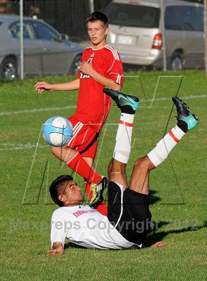 Thumbnail 3 in Antelope @ Mira Loma photogallery.