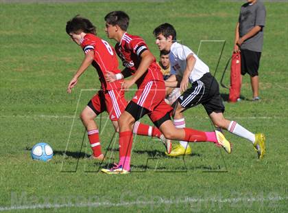 Thumbnail 1 in Antelope @ Mira Loma photogallery.