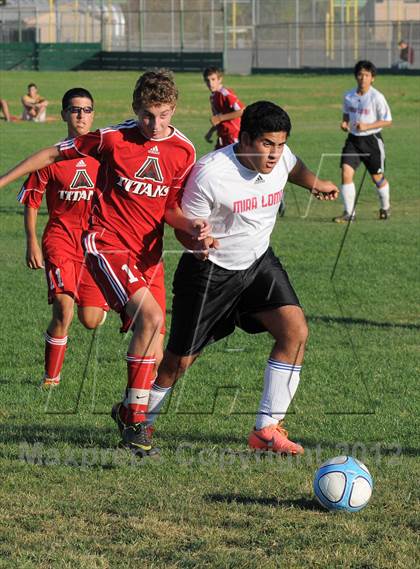 Thumbnail 1 in Antelope @ Mira Loma photogallery.