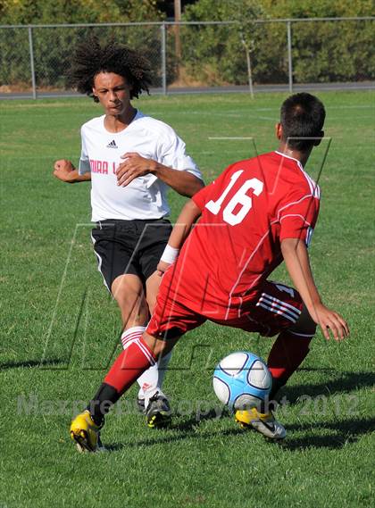 Thumbnail 2 in Antelope @ Mira Loma photogallery.