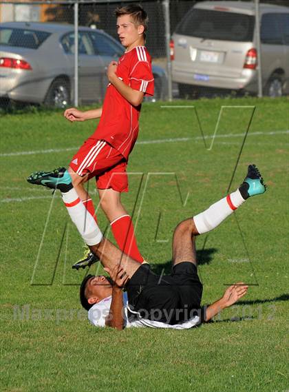 Thumbnail 1 in Antelope @ Mira Loma photogallery.