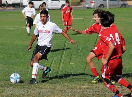 Thumbnail 3 in Antelope @ Mira Loma photogallery.
