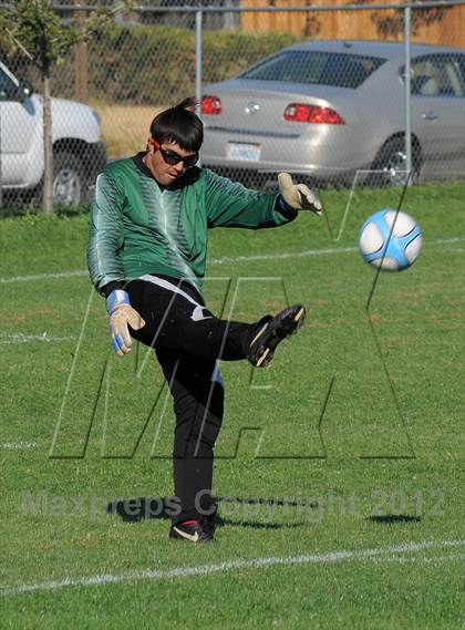 Thumbnail 1 in Antelope @ Mira Loma photogallery.