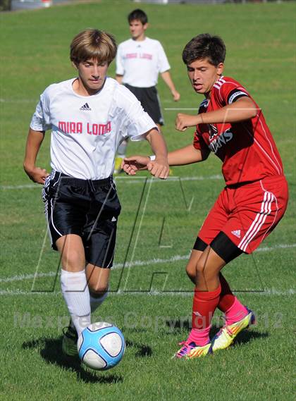 Thumbnail 1 in Antelope @ Mira Loma photogallery.