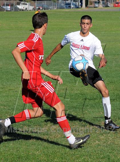 Thumbnail 2 in Antelope @ Mira Loma photogallery.