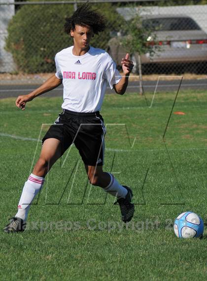 Thumbnail 1 in Antelope @ Mira Loma photogallery.