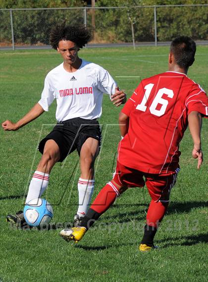 Thumbnail 1 in Antelope @ Mira Loma photogallery.