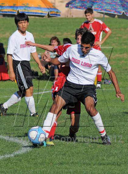 Thumbnail 3 in Antelope @ Mira Loma photogallery.