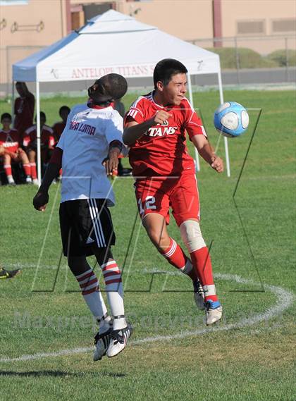 Thumbnail 2 in Antelope @ Mira Loma photogallery.