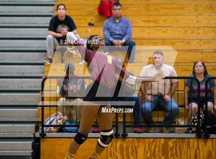 Thumbnail 2 in Lennard @ Middleton photogallery.