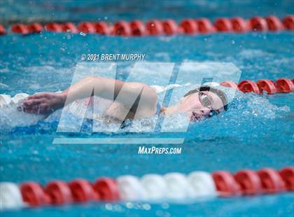 Thumbnail 1 in CHSAA 3A Girls Swimming - State Championships photogallery.
