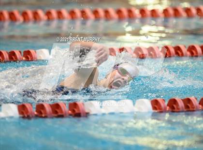 Thumbnail 3 in CHSAA 3A Girls Swimming - State Championships photogallery.