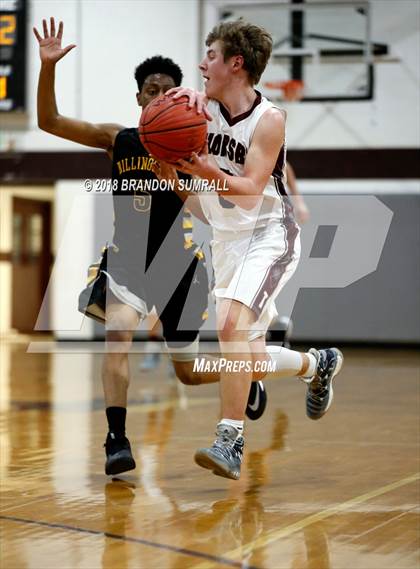 Thumbnail 1 in Billingsley @ Thorsby photogallery.