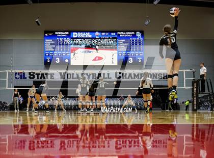 Thumbnail 3 in Bushland vs. Central Heights (UIL 3A Volleyball Semi-Final) photogallery.