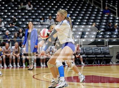 Thumbnail 1 in Bushland vs. Central Heights (UIL 3A Volleyball Semi-Final) photogallery.
