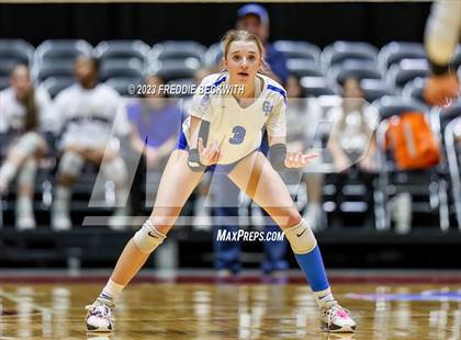 Thumbnail 1 in Bushland vs. Central Heights (UIL 3A Volleyball Semi-Final) photogallery.