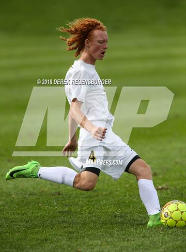 null - Photo 21