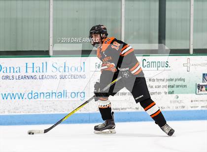 Thumbnail 2 in Newton North @ Needham photogallery.