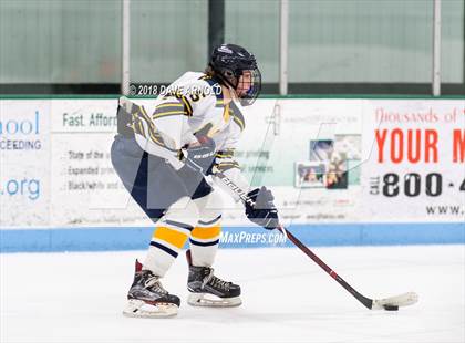 Thumbnail 2 in Newton North @ Needham photogallery.