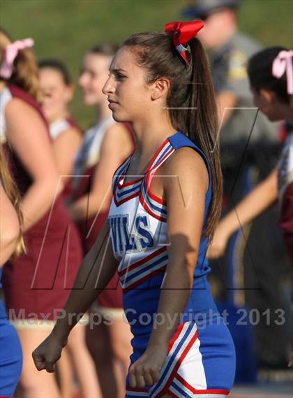 Thumbnail 2 in Morgan @ Coginchaug Regional photogallery.
