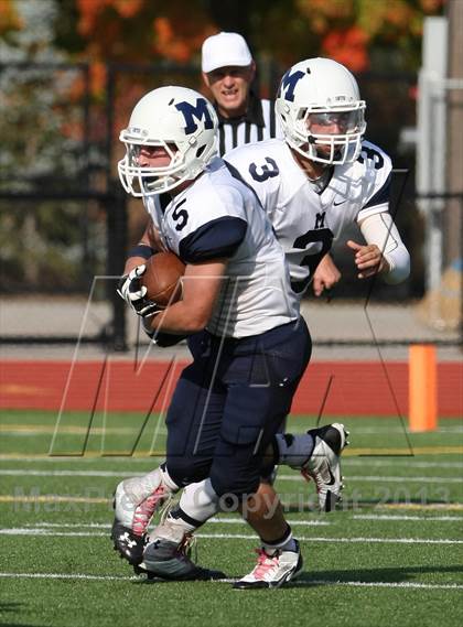 Thumbnail 3 in Morgan @ Coginchaug Regional photogallery.