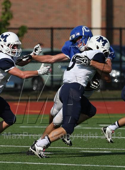 Thumbnail 2 in Morgan @ Coginchaug Regional photogallery.