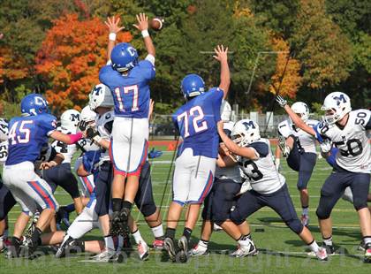 Thumbnail 3 in Morgan @ Coginchaug Regional photogallery.
