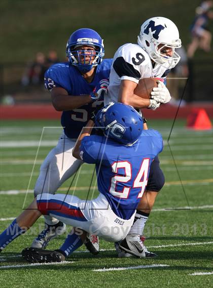 Thumbnail 2 in Morgan @ Coginchaug Regional photogallery.