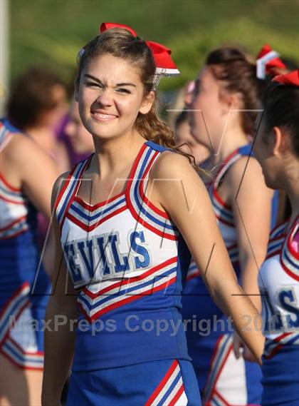 Thumbnail 3 in Morgan @ Coginchaug Regional photogallery.