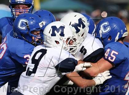 Thumbnail 1 in Morgan @ Coginchaug Regional photogallery.