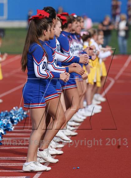 Thumbnail 1 in Morgan @ Coginchaug Regional photogallery.